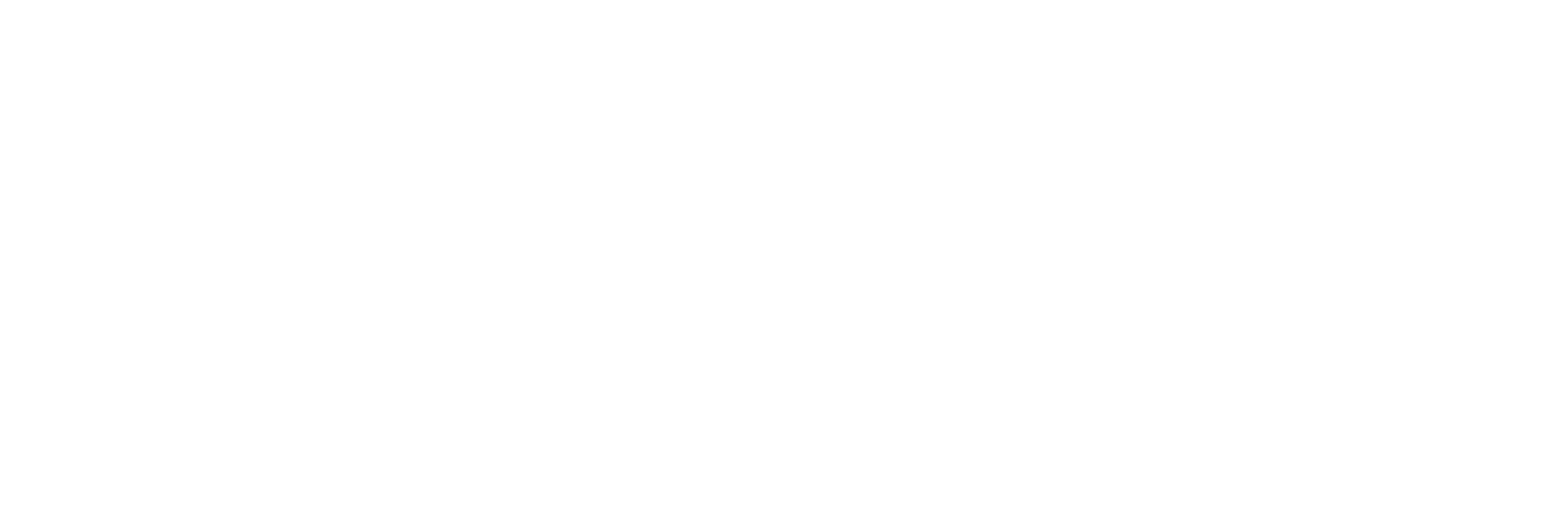 Flipper VR